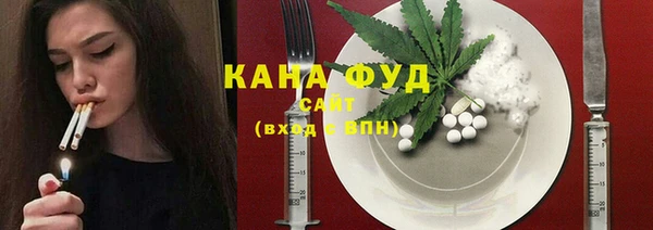 молекула духа Киреевск