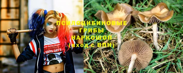 ПСИЛОЦИБИНОВЫЕ ГРИБЫ Каменск-Шахтинский
