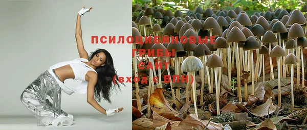 МДПВ Киренск