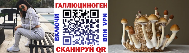 Псилоцибиновые грибы Cubensis  Кохма 