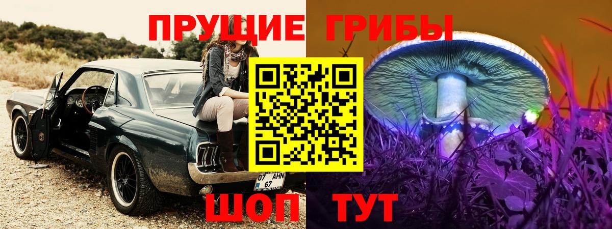 Галлюциногенные грибы MAGIC MUSHROOMS Кохма