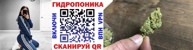 Шишки марихуана Bruce Banner  даркнет сайт  Кохма 